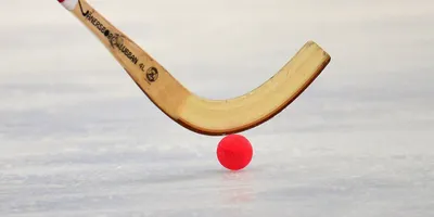 Хоккей с мячом