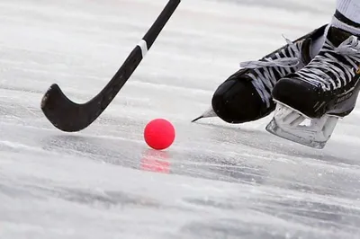 В России появилась Студенческая спортивная лига хоккея с мячом