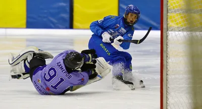 Более 270 работ на тему «хоккей с мячом зимний вид спорта»: стоковые фото,  картинки и изображения royalty-free - iStock