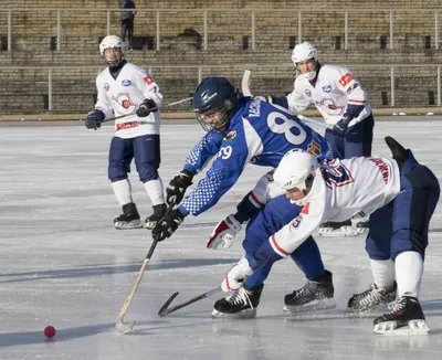 Команда по хоккею с мячом «Саяны» будет играть в Суперлиге | Министерство  физической культуры и спорта Республики Хакасия