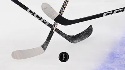 Хоккей, ВХЛ 2023-2024: новости, турнирная таблица, расписание, результаты  матчей, переходы - Чемпионат