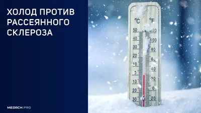 Мороженое Русский Холод - рейтинг 4,82 по отзывам экспертов ☑ Экспертиза  состава и производителя | Роскачество