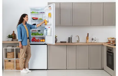 Арендовать Холодильник средний Nord (85см) | Exporenta