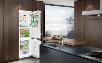Встроенные холодильники. Плюсы и минусы - блог Fiera