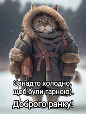 Холодно | Best quotes, Humor, Cards