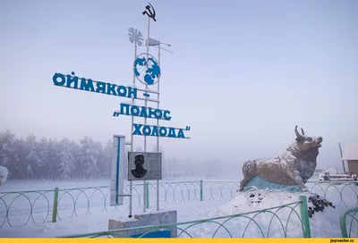 Холодно зимою маленькой макаке....:-) :: Андрей Заломленков – Социальная  сеть ФотоКто