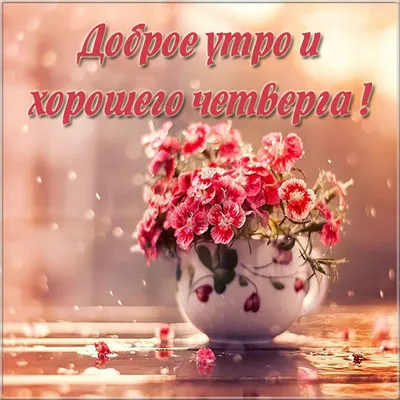 🌺 Хорошего четверга! | Поздравления, пожелания, открытки с Новым годом! |  ВКонтакте