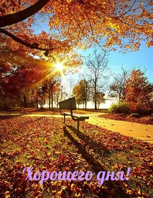 Доброго осеннего дня, открытки с пожеланиями! Добрый день! Осень! Доброго  осеннего дня... | Страница 1