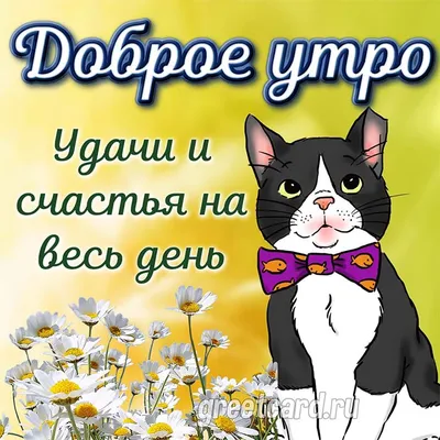 Хорошего дня с животными