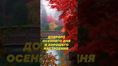 Хорошего осеннего дня - новые красивые картинки (52 ФОТО)