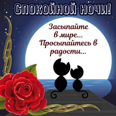 Всем уютного вечера)#добрыйвечер#спокойнойночи#пожелания#видеооткрытка... |  TikTok
