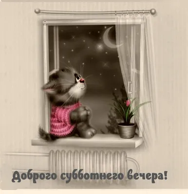 Добрый вечер! Прикольные открытки с остроумными картинками - pictx.ru