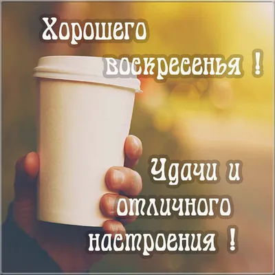 Доброго осеннего утра! Чудесного Воскресенья! | Доброе утро, Осень,  Воскресенье