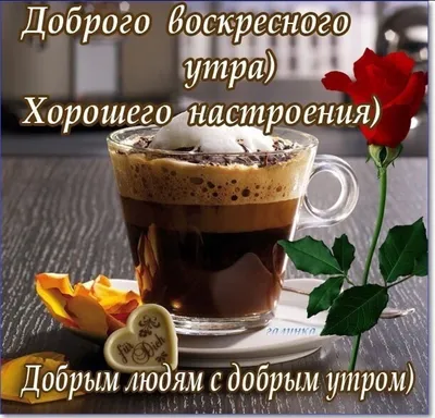 Доброе утро! Хорошего воскресного дня!🌿 | Светлана Гирник | ВКонтакте