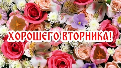 😊🌹 Доброго вторника! | Поздравления, пожелания, открытки с Рождеством! |  ВКонтакте