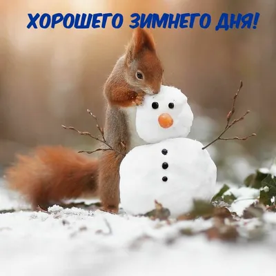 Хорошего зимнего дня - новые красивые открытки (53 ФОТО)