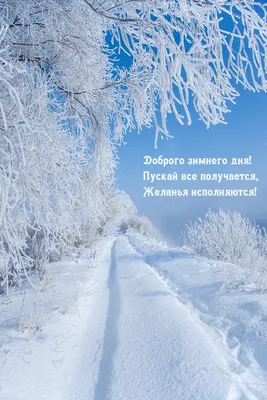 Картинки с надписью - Доброго зимнего дня!.