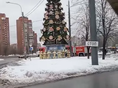 Раскраска Новогодний хоровод вокруг елки - Раскраскина