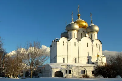 Главный храм Вооруженных сил стал одним из самых посещаемых в России - РИА  Новости, 13.06.2021