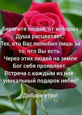 Доброе утро #Храни вас Бог#💝💝💝 | TikTok