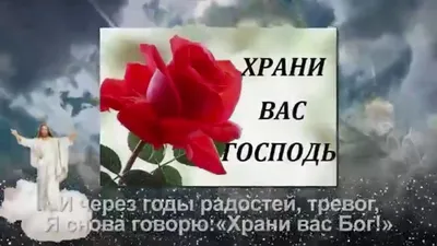 храни вас бог / смешные картинки и другие приколы: комиксы, гиф анимация,  видео, лучший интеллектуальный юмор.