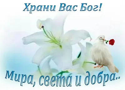 Наклейка \"Храни Вас Господь - надпись с крестами\" 1 шт., 10х1 см, черная  (на автомобиль, интерьерная) - купить по выгодным ценам в интернет-магазине  OZON (1206631610)