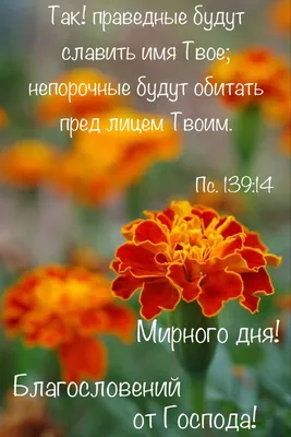 Христианские Цитаты - Брать от жизни всё-негигиенично.  https://instagram.com/oneinchrist_ua | Facebook