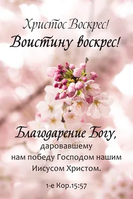 Христиан-католиков со Светлой Пасхой! — Сайт Новогрудской библиотеки  семейного чтения