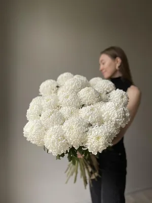 Фиолетовые хризантемы от 9 шт. за 4 890 руб. | Бесплатная доставка цветов  по Москве