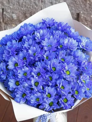 Как выбрать хризантемы на 8 марта | Статьи Megaflowers