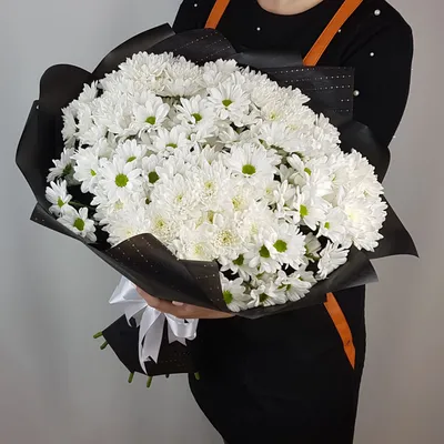 Хризантема стандартная Гагарин белая – Цветочная Лав-Лавка