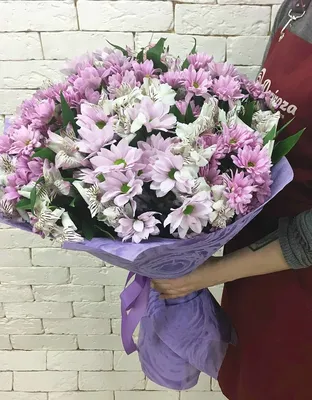Букет из 11 фиолетовых ромашковых хризантем - купить с доставкой в Иркутске