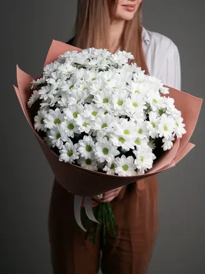 Хризантемы с Альстромериями заказать с доставкой в Челябинске - салон «Дари  Цветы»