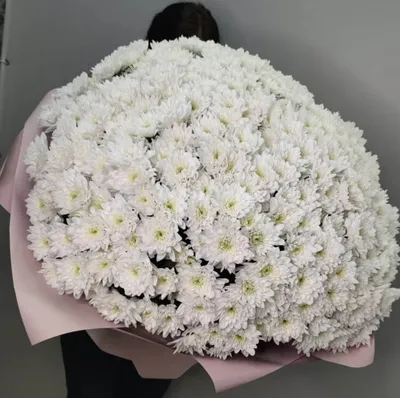 Букет из крупных розовых хризантем - заказать доставку цветов в Москве от  Leto Flowers