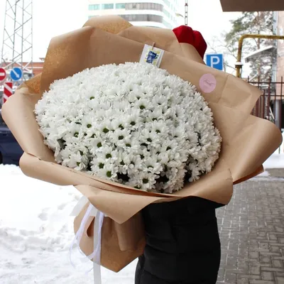 Купить недорогой букет больших хризантем! - Пермь. Заказать онлайн с  доставкой круглосуточно