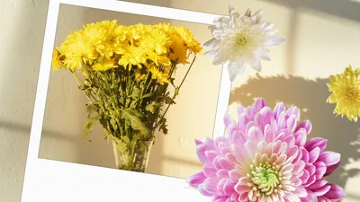 Цветы на похороны \"Букет из одноголовых хризантем\" БУХ-02 - купить в  SPBGORRITUAL.RU (БУХ-02)