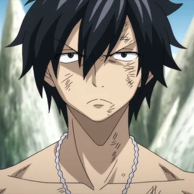 Грей Фуллбастер | Fairy Tail Wiki | Fandom