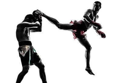 Боксеры тренируют кикбоксинг на ринге в клубе здоровья Стоковое Изображение  - изображение насчитывающей бой, гимнастика: 165133845