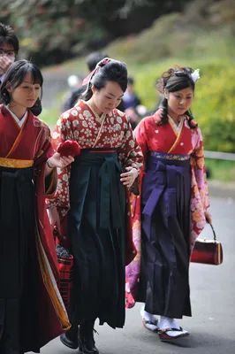 Parade of Kimono – University Graduation | Tokyobling's Blog