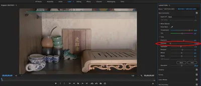 Цветокоррекция видео в Adobe Premiere Pro: 10 простых шагов | Статьи |  Фото, видео, оптика | Фотосклад Эксперт