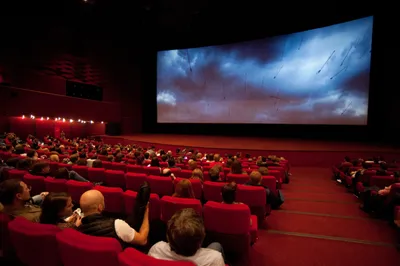 Я краснею» и «Бэтмен»: кинотеатры переходят на пиратский контент — РБК