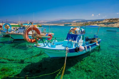 Кипр летом 2024: сколько делают визу и стоят туры