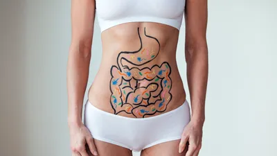 Очаровательный кишечник»: жиры и их функции в организме — читать отрывок из  книги | Glamour