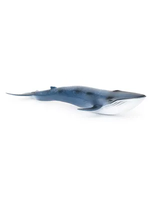 Кит темные розовые 06 ребенка Иллюстрация вектора - иллюстрации  насчитывающей кит, пинк: 198983173