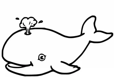 Синий кит | Пикабу