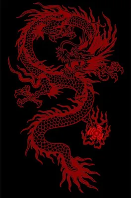 Дракон огня | Dragon wallpaper iphone, Snake wallpaper, Dark red wallpaper