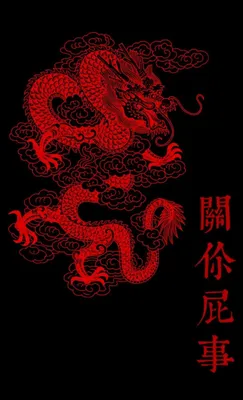 Красный дракон | Японский дизайн плаката, Графический дизайн в стиле ретро,  Индейские символы