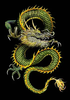 Китайский зеленый дракон рисунок - 73 фото