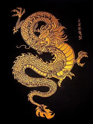 Китайский дракон | Иллюстрация дракона, Татуировки в виде дракона, Китайский  дракон
