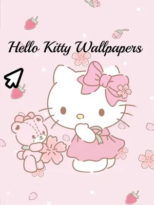 Care Bears™ - Hello Kitty and Friends Fun Size Plush - Hello Kitty as Cheer  Bear | BasicFun!